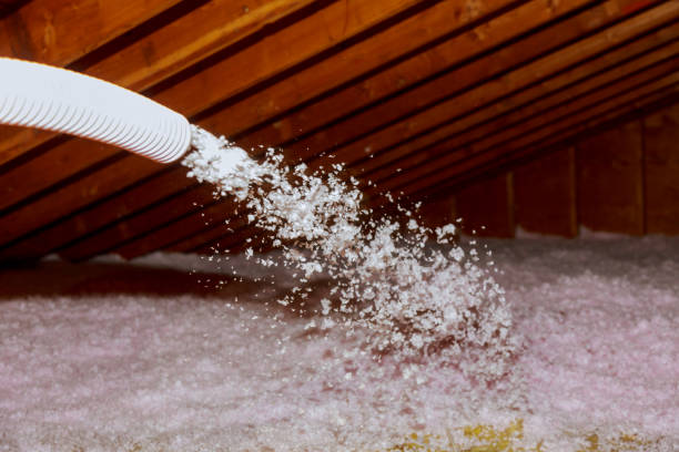 Best Crawl Space Insulation  in Twin City, GA