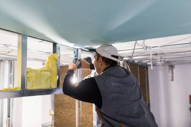 Best Garage Insulation Installation  in Twin City, GA