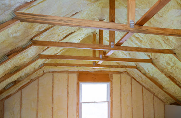 Best Spray Foam Insulation  in Twin City, GA